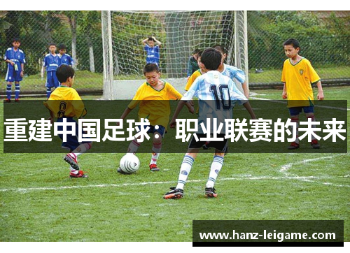 重建中国足球:职业联赛的未来 重建中国足球:职业联赛的未来