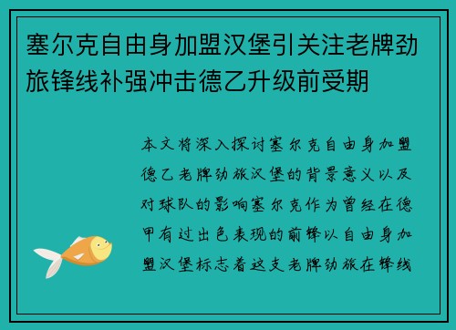 塞尔克自由身加盟汉堡引关注老牌劲旅锋线补强冲击德乙升级前受期